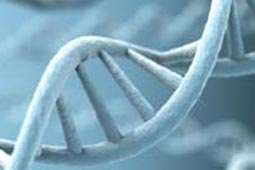 网站攻击软件工具